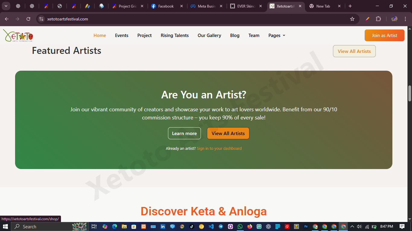 Festival & Events Web Design – Xetoto Arts Festival