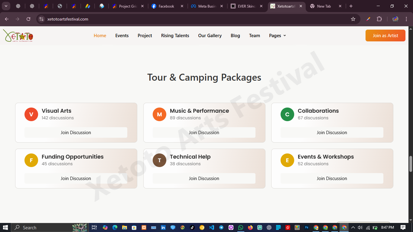 Festival & Events Web Design – Xetoto Arts Festival