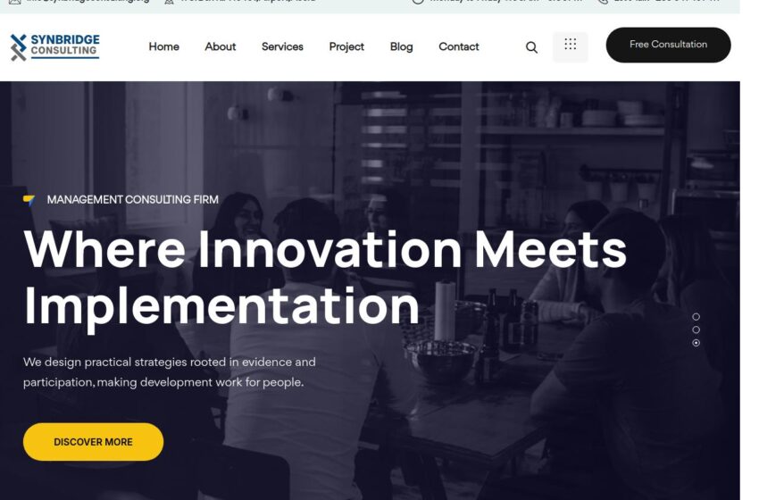 synbridge Consulting Designsynq